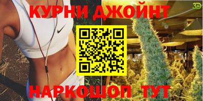 сатива Будённовск
