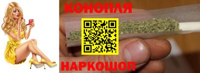 сатива Будённовск