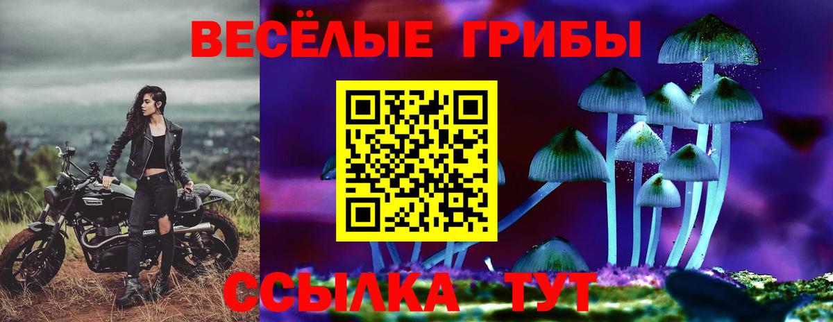 Минеральные Воды  Галлюциногенные грибы Magic Shrooms  Вход с VPN 